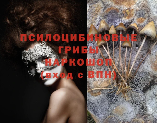 мяу мяу кристалл Новозыбков