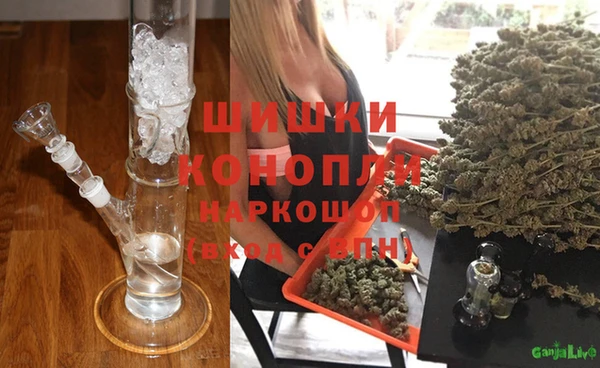 МДПВ Новодвинск